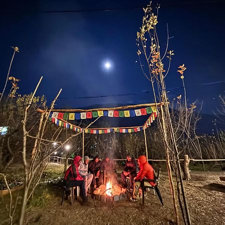 Basecamp Manali Hostel Екстериор снимка