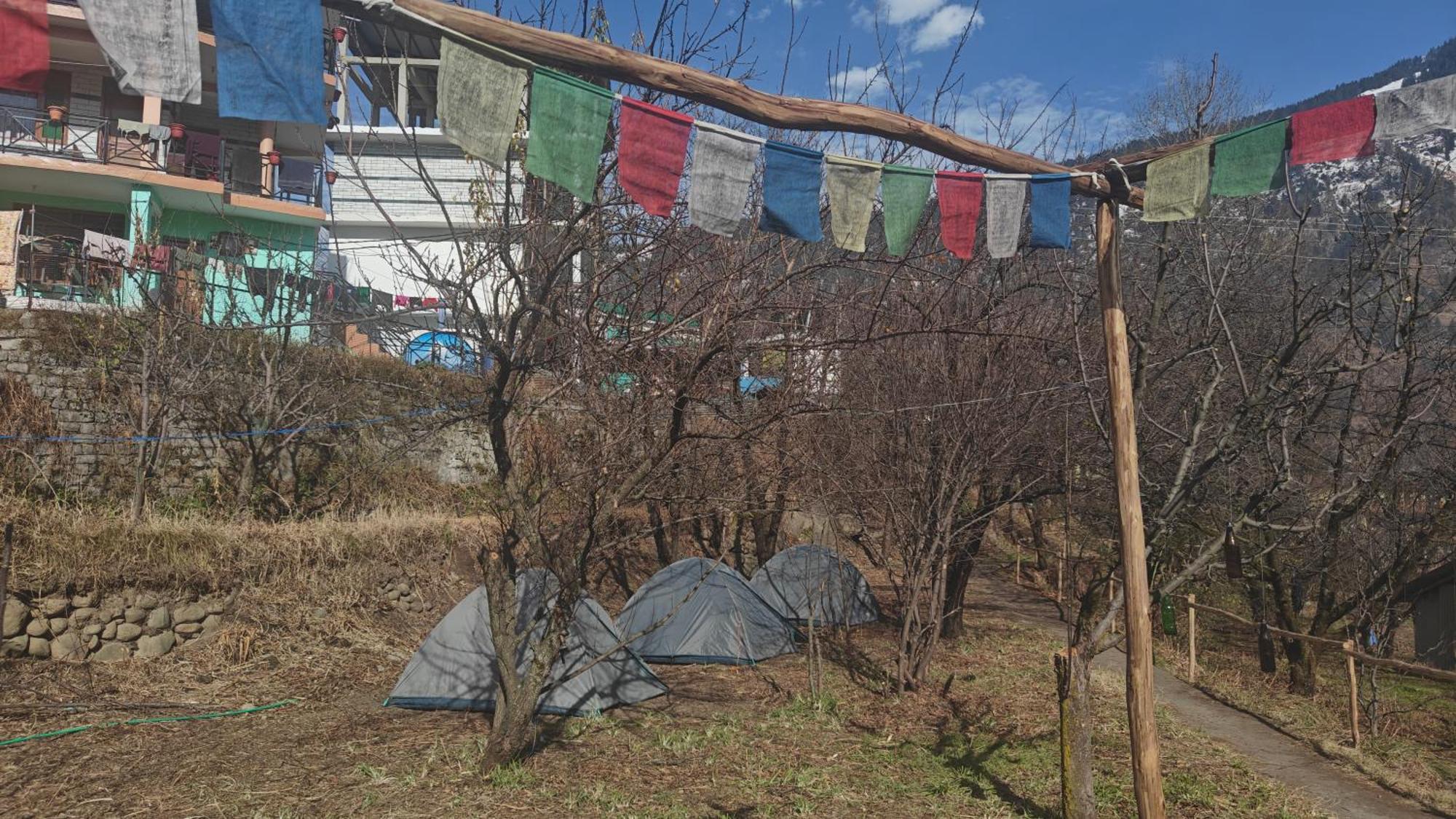Basecamp Manali Hostel Стая снимка