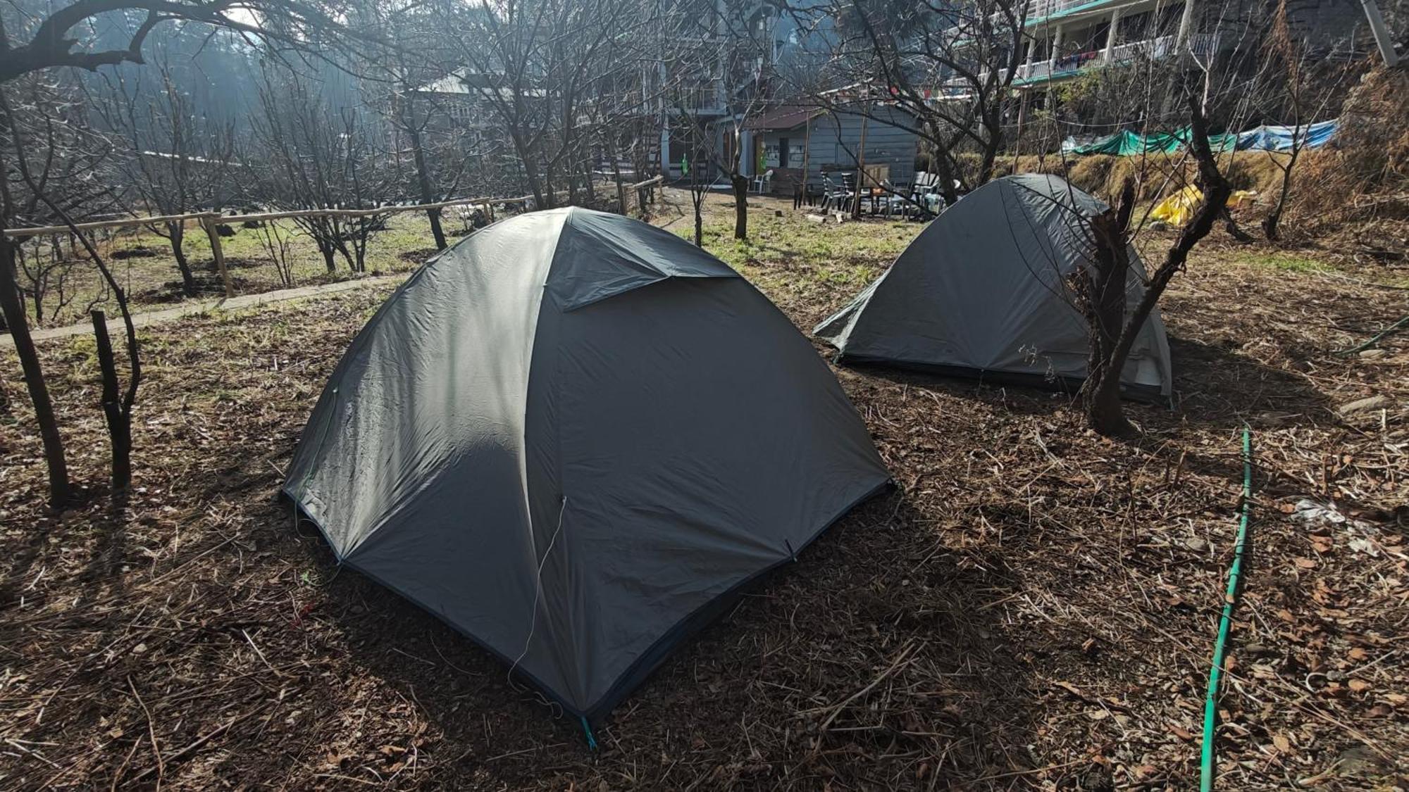 Basecamp Manali Hostel Стая снимка