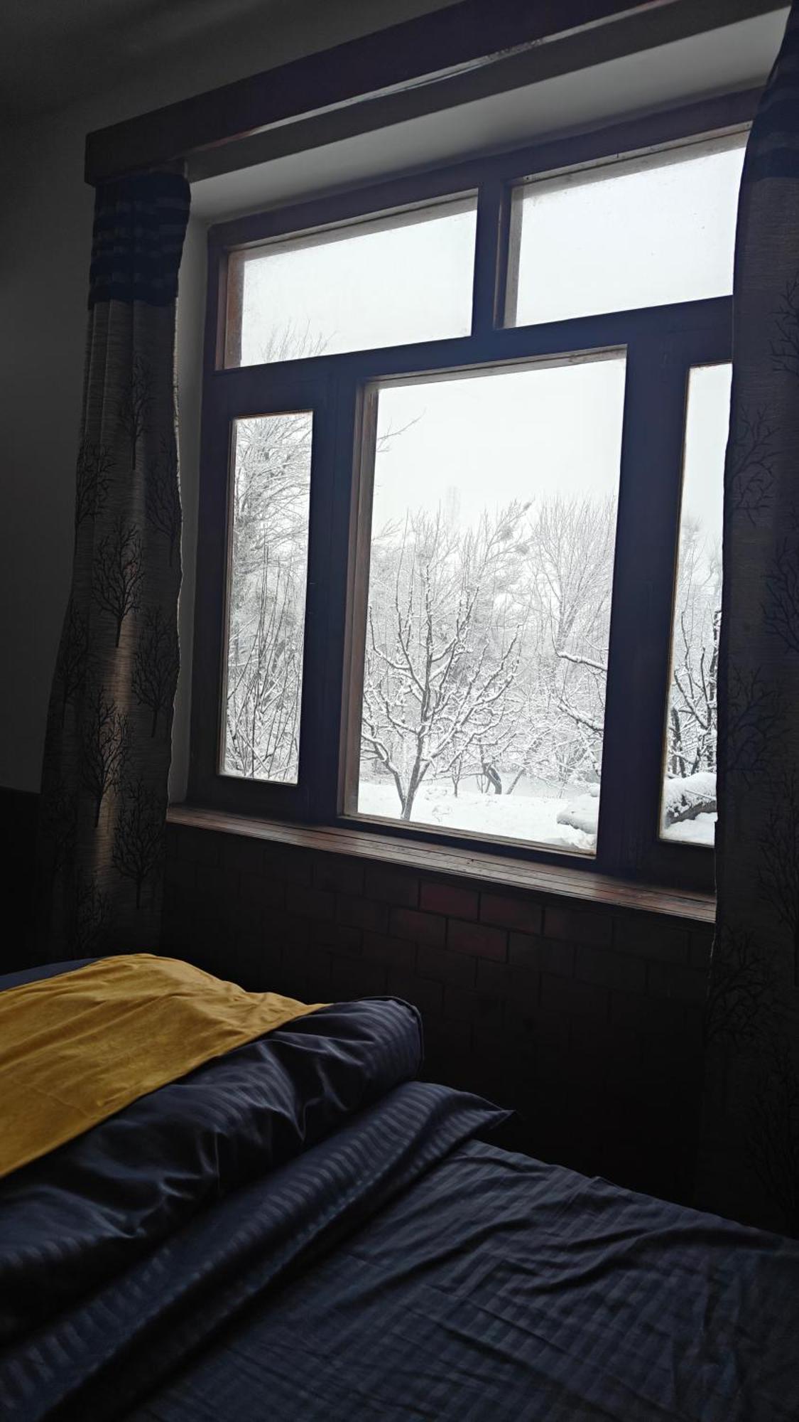 Basecamp Manali Hostel Стая снимка